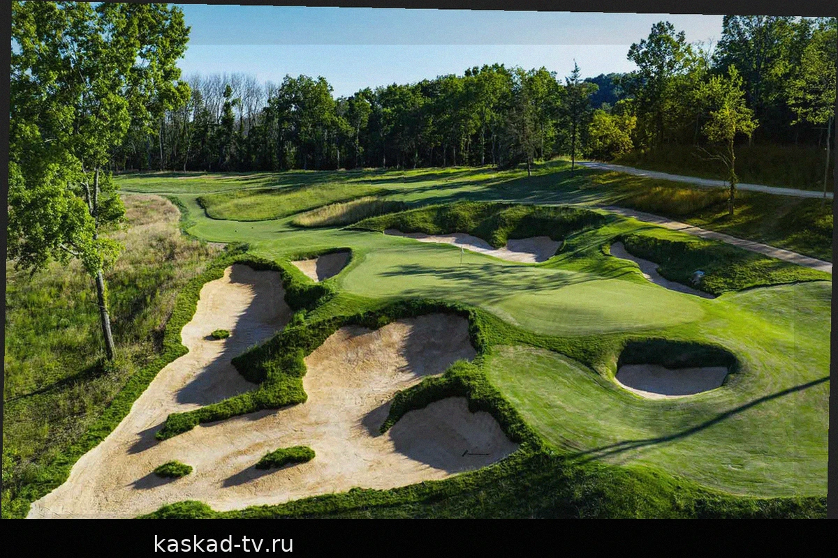8AM Golf: Как компания использует бум в гольфе